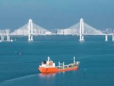 茂名构建现代化产业体系“四梁八柱”，奋力走在前列