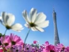 2023世界粤商大会将于9月21-23日在广州举办