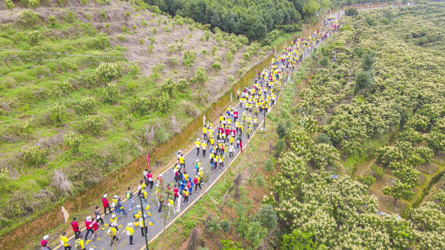 南方农村报 樊静东 拍摄