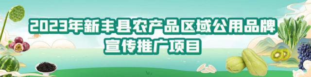 新丰县农产品区域公用品牌征集活动结果公告