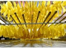 营业额破500万！乳源大布镇强镇富村路再上新台阶