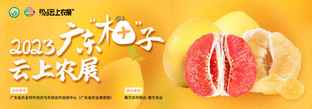 柚是一年成熟时！秋天的第一口柚子，2023广东柚子云上农展包了！