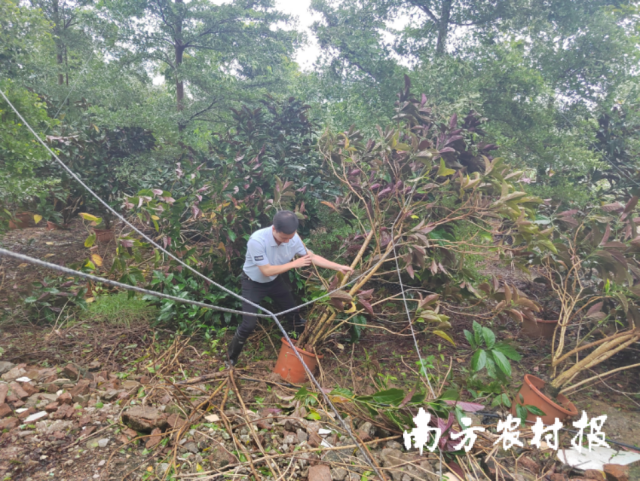 广东国寿财险中山中心支公司了解灾后重建情况、提供加固物资