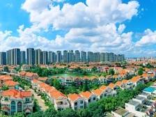 横沥：夯实党建根基，犇向和美乡村