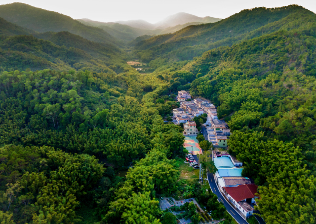 五桂山街道森林覆盖率达80%以上。