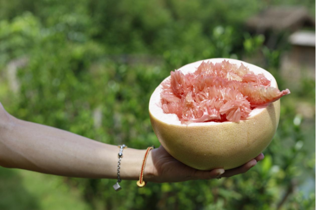 梅州柚口感清甜无渣，深受消费者青睐。