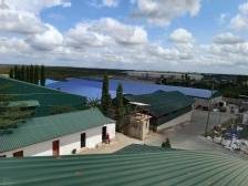 时机红利：我在非洲如何卖家电？｜制造业当家 冠军再跃迁