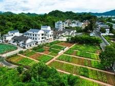 梅县区丙村镇：“三字诀”探索兴镇富村新路径|竞跑百千万·梅县镇能量⑩