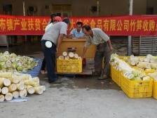 乳源大布：竹长“金山银山”，笋产“金蛋银蛋”