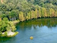 金融助推“百千万工程”，农业银行和肇庆签约提供800亿元融资