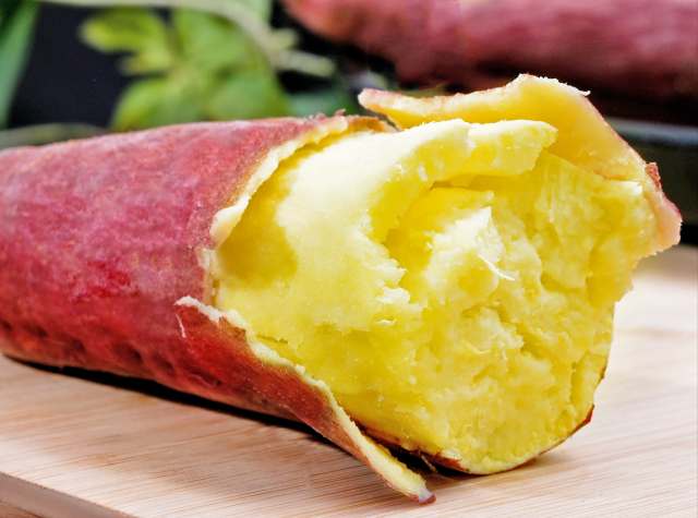 植物龙公司旗下的“龙龙金5号”黄金板栗薯