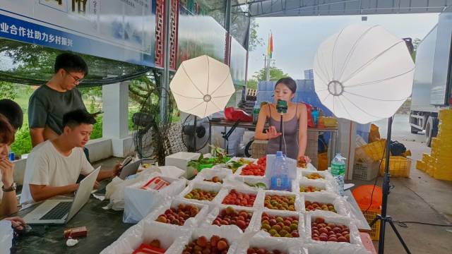 平田济村电商中心的直播团队在线上推介特色农产品。（ 受访者供图）