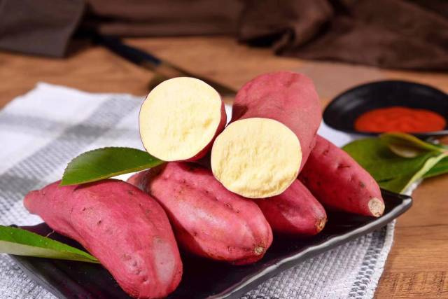 植物龙公司旗下高端甘薯品种“龙龙金8号”