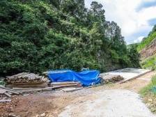 多措并举护航联办企业探索强村富民路丨强村公司 龙川实践④