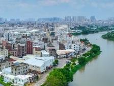 吴川沿江社区：乡村环境整治 沿江向美而行