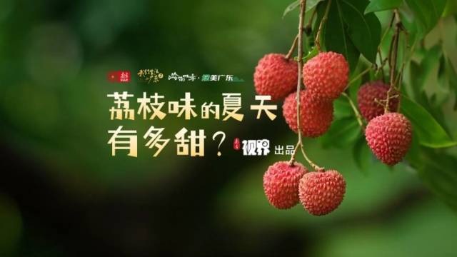 荔枝味的夏天，有多甜