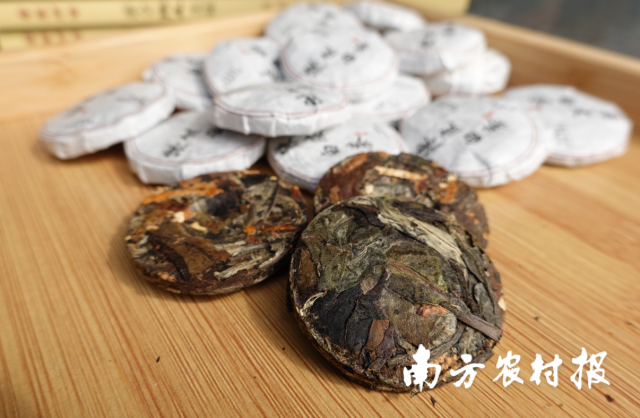 新会柑（白）茶。