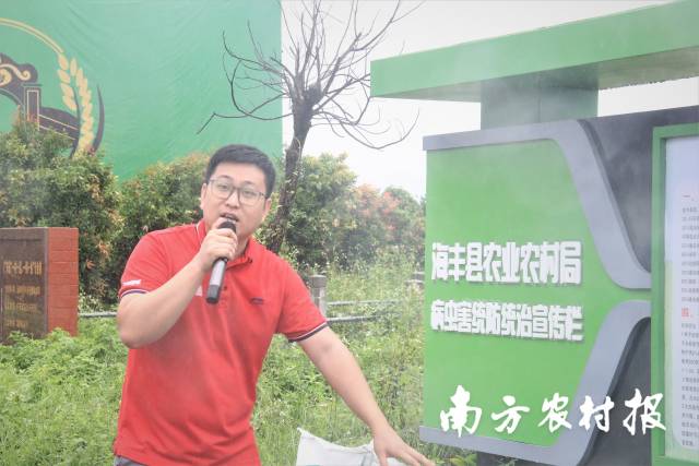 广东天禾中荣农资汕尾配送有限公司业务经理刘志伟。
