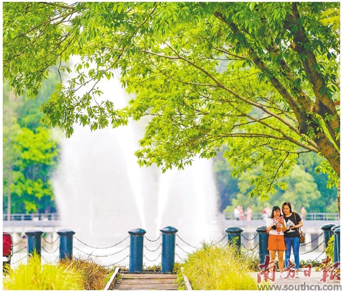 被一片绿色包围的中山市岐江公园。 被一片绿色包围的中山市岐江公园。