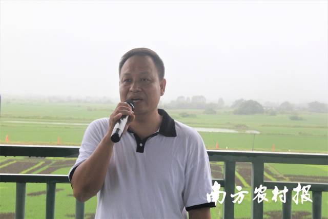 海丰县农业技术服务中心主任彭新才。 