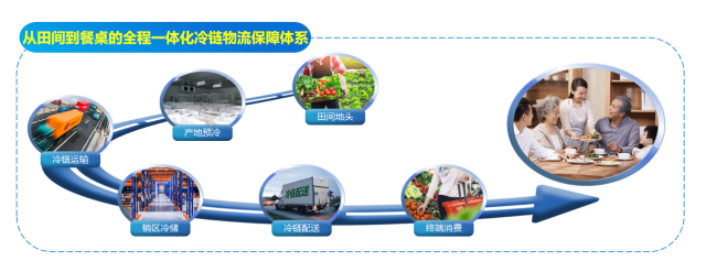 天业冷链一体化物流保障体系