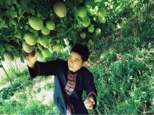 321名“兵支书”扎根肇庆助力“百千万工程”