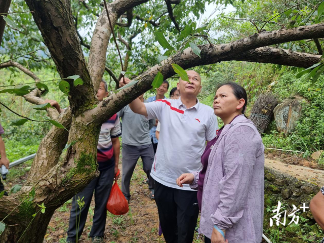  培训课堂“搬”到田间地头
