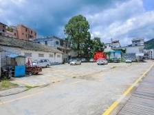 黄布镇强村公司：推动形成“人人有事做、家家有收入”新气象丨强村公司 龙川实践⑥