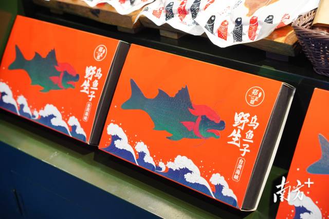南方+ 陈琬莹 拍摄