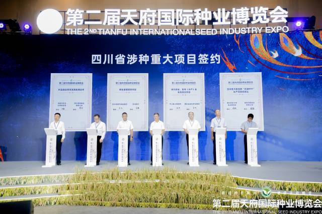 四川农业大学玉米研究所党委书记兰海（右二）、成都鸿翔种业有限公司总经理蒋启胜（右一）进行了“优迪 899”生产经营权转让签约。