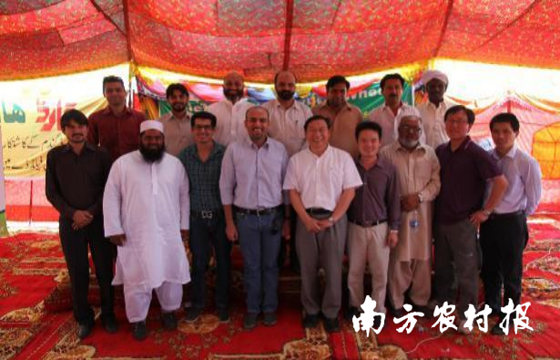 中国杂交小麦“Field Day”活动在巴基斯坦举行
