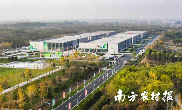 北京通州國際種業(yè)科技園區(qū)