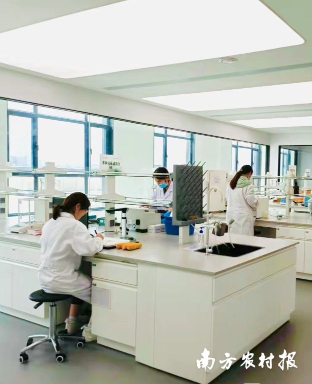 九圣禾研究院在北京的试验站，科研人员正在进行试验。