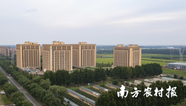 北京通州国际种业科技园区