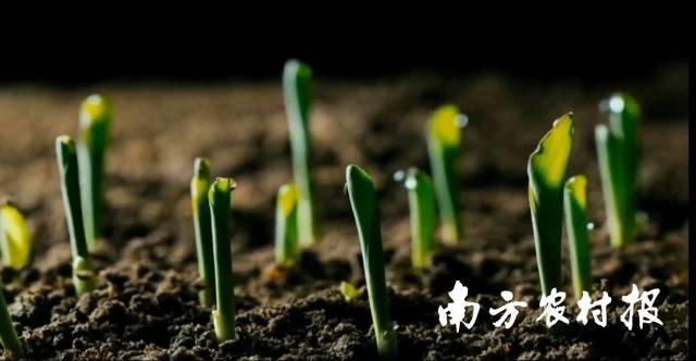 受訪者供圖