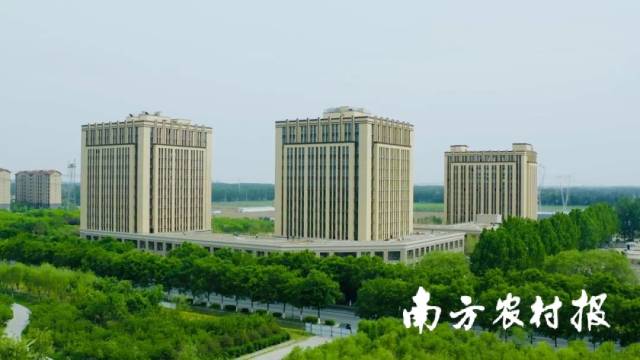 于家務(wù)國際種業(yè)科技園區(qū)。