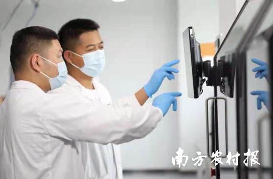 先正达集团中国的技术人员正在操作实验设备