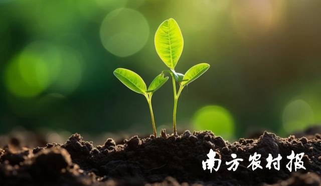 受訪者供圖