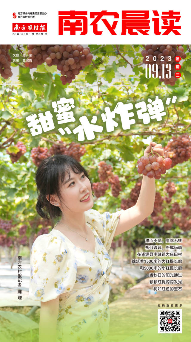 南方农村报 樊静东 制图