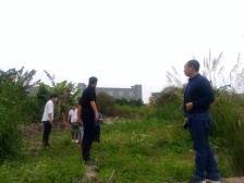 收到63059张投票后，燕罗“唤醒”2万m²空地，只为这件事