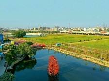 犇向和美！横沥启动党建引领乡村治理“村居巡礼”