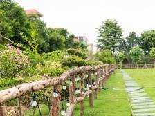 广州街力｜南沙大开发与岭南慢水乡