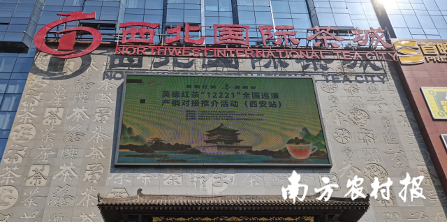 英德红茶亮屏西北国际茶城。