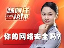 你的网络安全吗？｜杨阿洋快评