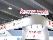 一“探”究竟③｜内容+技术+服务！南方新闻网硬实力亮相博览会