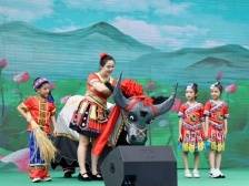 怀集下帅，如何打造“百千万工程”民族地区高质量发展样板？