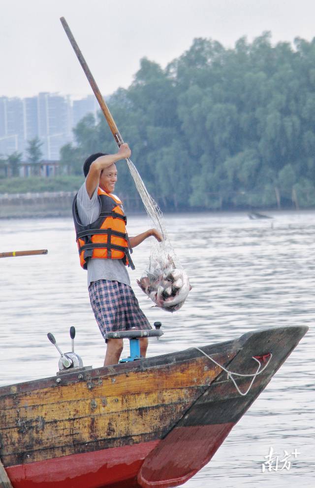 拖网下的战利品