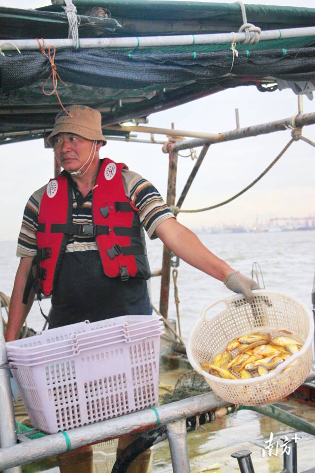 拖网下的战利品