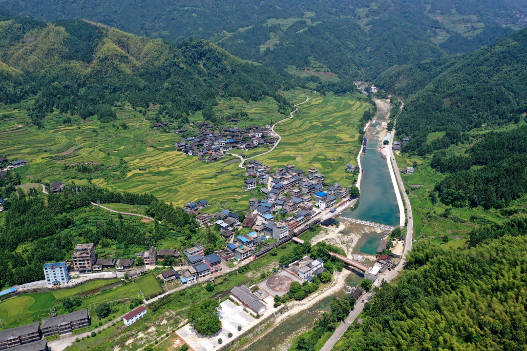 特色村拔地而起,，廉融攜手共建“共富樣板村”