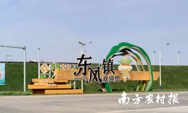 东凤芡实品牌标识